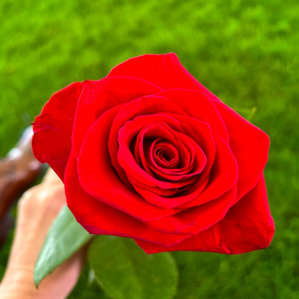 Meet your Posher, Jennifer